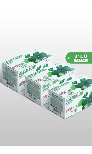 Ginkgo Biloba Çayı 20 Li Süzen Poşet 3lü set, ginko Lokman Aktar