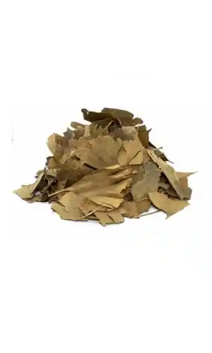 Ginko Biloba 30 Gr (Paket-Bitki) 1Adet, Lokman Aktar