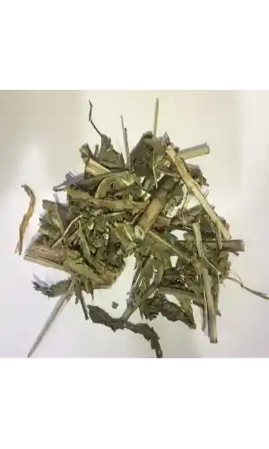 Hindibağı Bitkisi 30 Gr (Paket-Bitki) 1Adet, Lokman Aktar