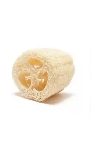 Kabak Lifi Ham Parça, 15-18 cm, 1 Adet Derya Eren