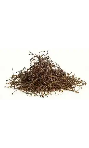 Kiraz Sapı 25 Gr 1Adet, Lokman Aktar