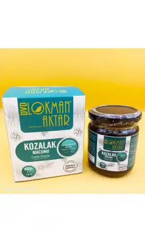 Propolisli Kozalak Macunu 240 G 1Adet, Lokman Aktar