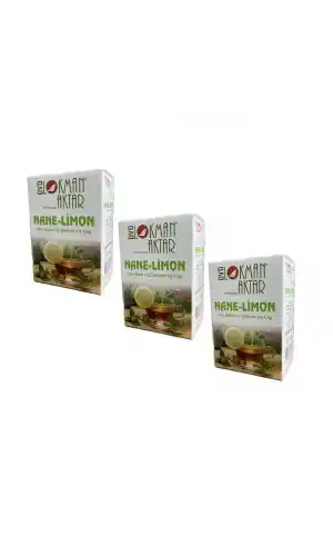 Nane Limon Atom küp çay 150 gr 1Adet, Lokman Aktar