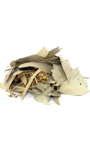 Okaliptus Yaprağı 25 Gr, Lokman Aktar