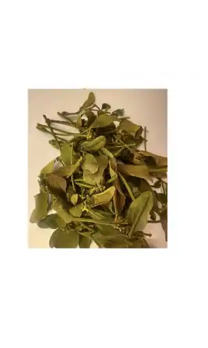 Ökse Otu 50 Gr, Lokman Aktar