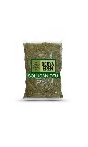 Solucan Otu Tanacetum vulgare 100 gr, Derya Eren