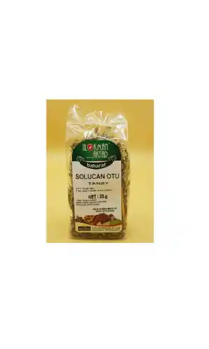 Solucan Otu 20 Gr Tanacetum vulgare 1Adet, Lokman Aktar