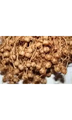 Üzerlik Otu 30 Gr, Lokman Aktar