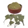 Gingko Biloba Yaprak Tozu 150 G, Lokman Aktar