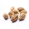 Sarı Halile Sarıhalile (Terminalia Chebula) 100gr, Derya Eren