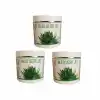 Aloe vera Jel Balsam 500Ml 3Adet Aloevera , Lokman Aktar