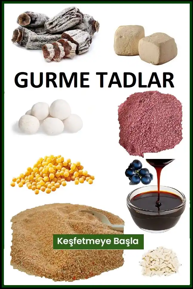 GURME LEZZETLER