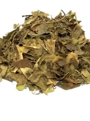 Cinnema Gimneya-Cimnema Otu GURMAR