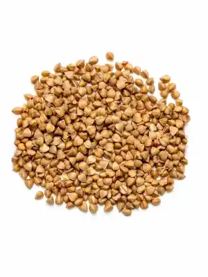 Karabuğday (Greçka)