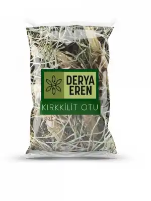 Kırkkilit Otu At Kuyruğu Bitkisi