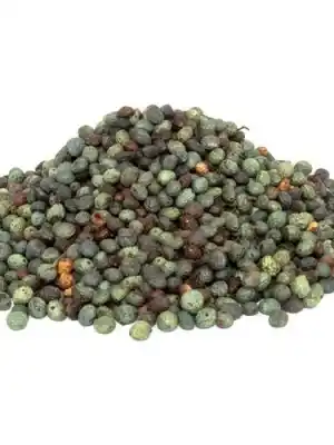 Menengiç (Çitlenbik,Çıtlık,Çedene,Bıttım)