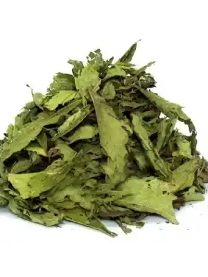Şeker Otu Stevia Yaprak