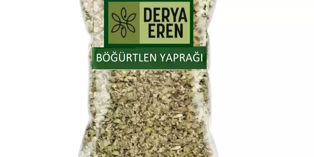 Böğürtlen Yaprağı