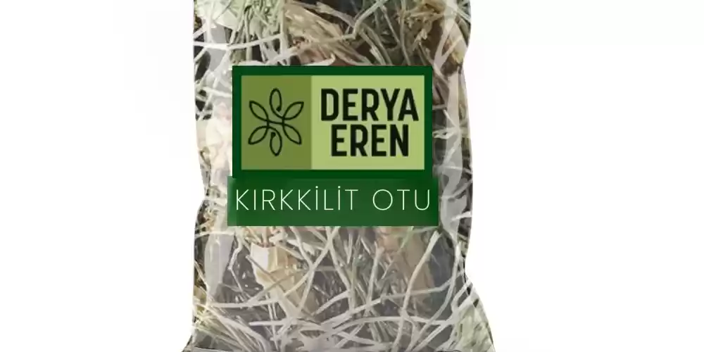 Kırkkilit Otu At Kuyruğu Bitkisi