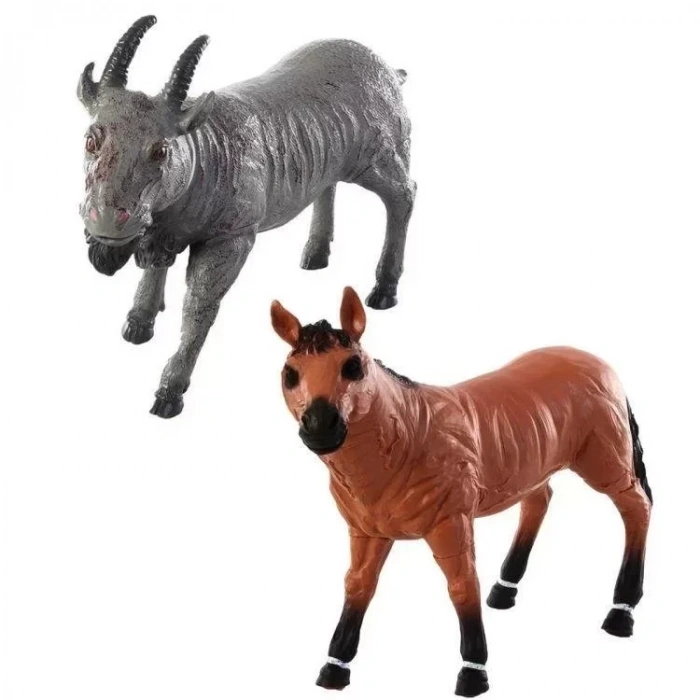 Soft ÇifUSDik Hayvanları