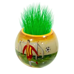 Çim Adam Galatasaray