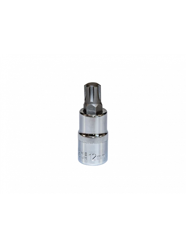 Hepsicinde 1/2 Crv Ribe Lokma