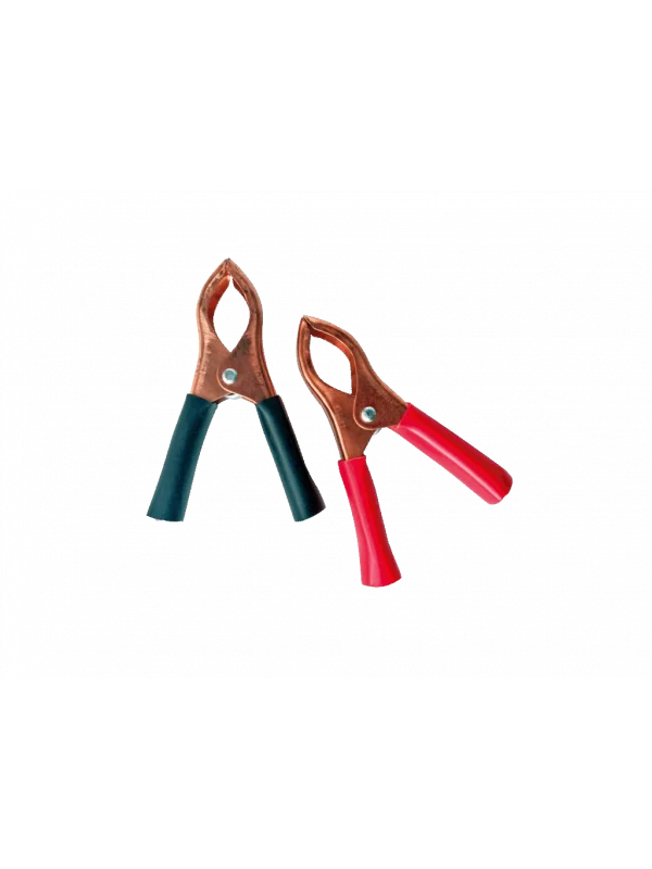 30A Mini Akü Takviye Pensesi