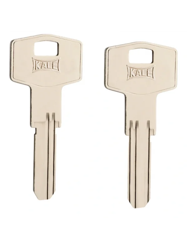 Bilyalı Silindir Anahtarı İki Kanal (Ham)