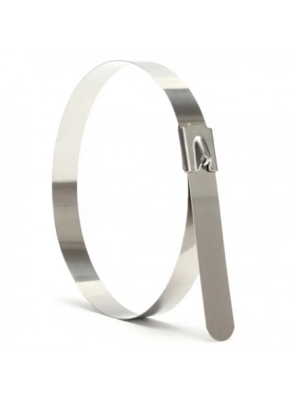 Frt Paslanmaz Kablo Bağı Gümüş 4,6x300