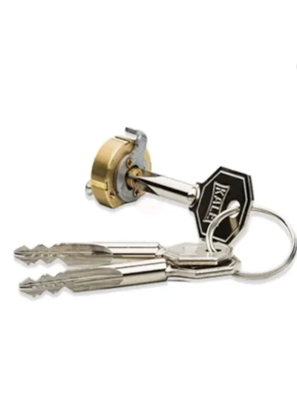 Prazis Silindir 3 Anahtar - SARI