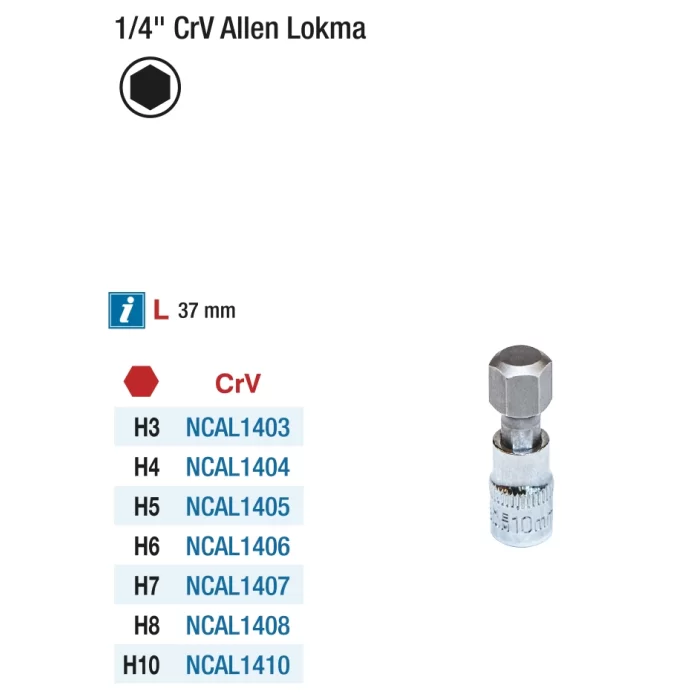 1/4 CR-V Allen Lokma