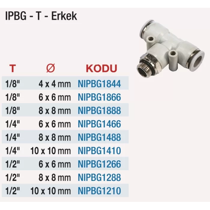 1/8 IPBG T Erkek - 10 Adet