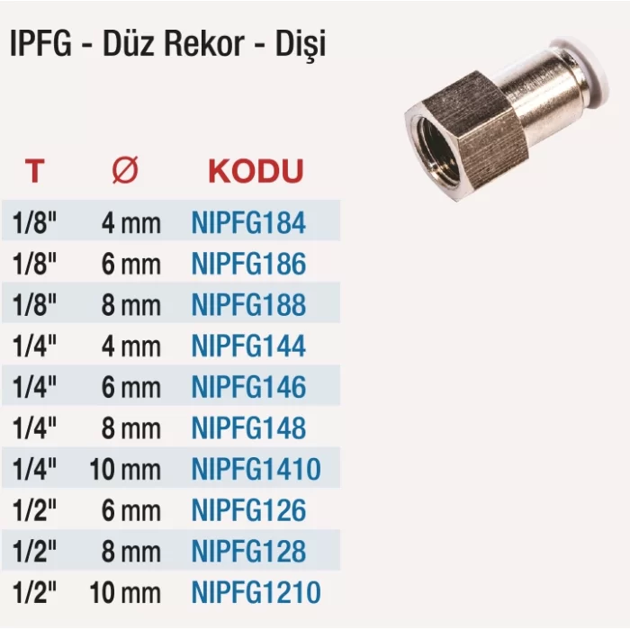 1/8 IPFG Düz Rekor Dişi - 10 Adet