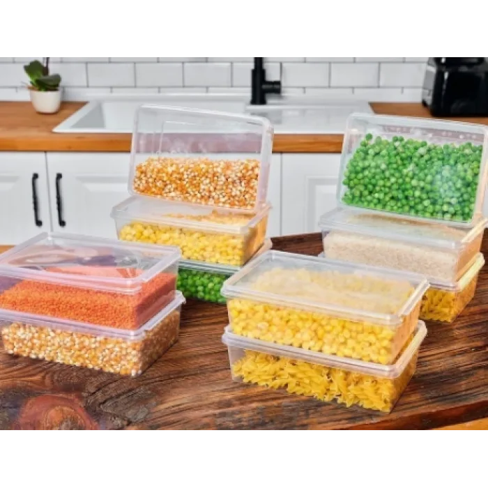 Plastik Saklama Kabı 1 Ltre 10 Adet Kendinden Kapaklı Dondurucu Kabı Hava Almaz 19x13x6 Cm