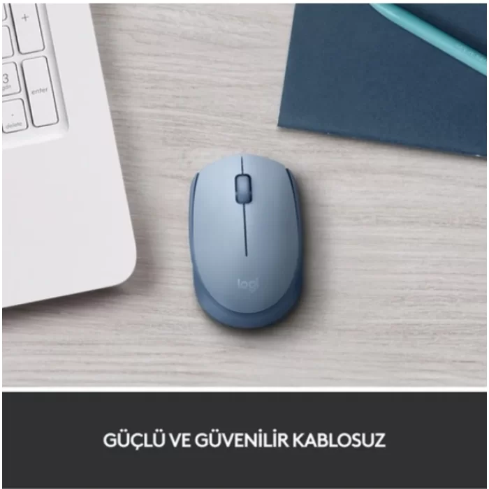Logitech M171 Kablosuz Mouse Mavi-Gri 910-006866