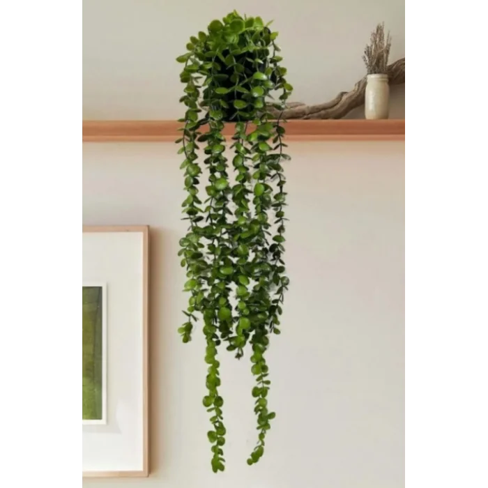 Yapay Çiçek Elmas Saksıda 80 Cm Yoğun Yapraklı Koyu Yeşil Okaliptus Sarkıt