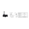 Gwest AZ - 15GQ22 - B -Dikey Metal Makaralı 15A Mikro Switch (20 Adet)