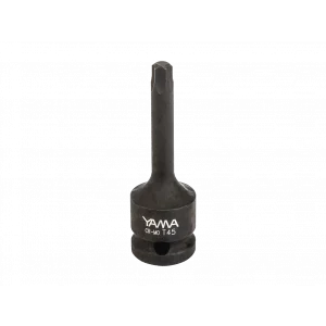 Hepsicinde 1/2 CrMo Torx Lokma