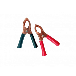 30A Mini Akü Takviye Pensesi