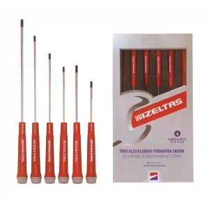 6LI TORX UÇLU KLEMENS TORNAVİDA TAKIMI