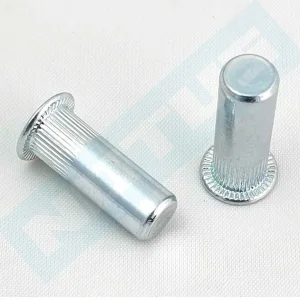 Yüksek Kaliteli Flanşlı Silindirik Somun Perçinler