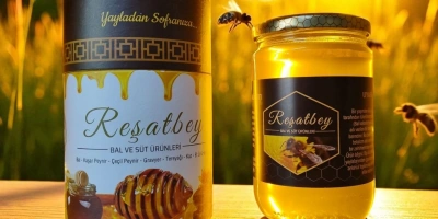 Gerçek Bal Nasıl Anlaşılır? Sahte Baldan Ayırmanın En Net Yolları