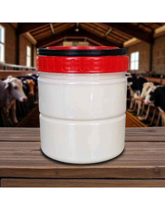 Yöresel Kars Köy Kaymağı (Krema)