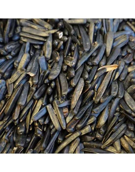 Yöresel Kars Siyah Çekirdek (Sımışka)