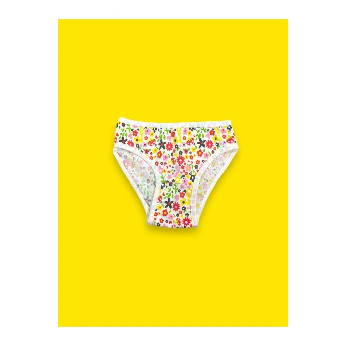 Karışık Renkli Desenli Kız Çocuk Külot 6lı