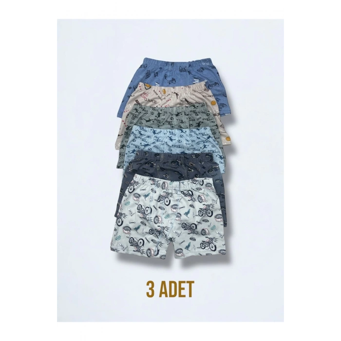 Karışık Desenli Erkek Çocuk Empirme Boxer 3lü