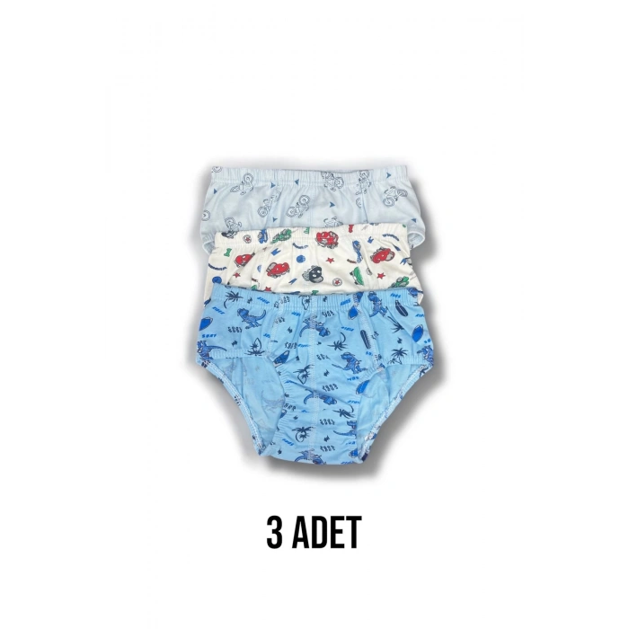 Karışık Desenli Erkek Çocuk Empirme Külot 3lü