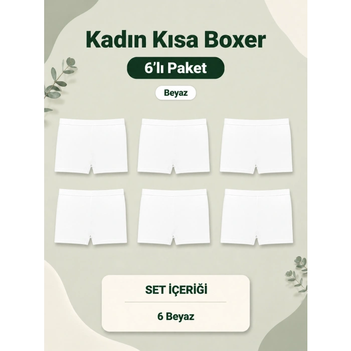 6lı Kadın Boxer