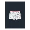 Karışık Desenli Kız Çocuk Boxer 2li