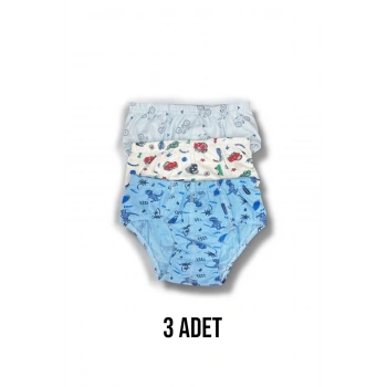 Karışık Desenli Erkek Çocuk Empirme Külot 3lü
